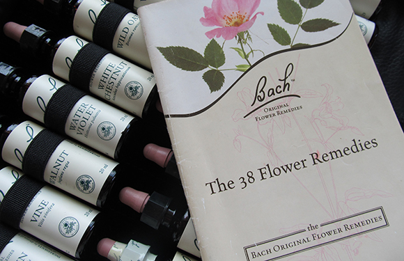 Terapeut Remedii Florale Bach