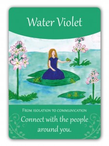 water_violet